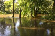 Hochwasser 170728